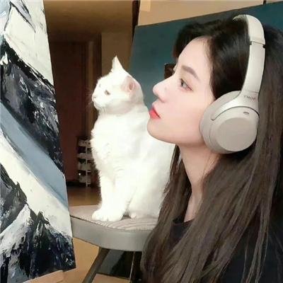 蜜月杀手