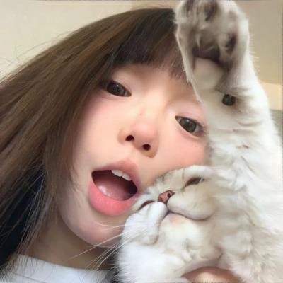 动画综艺
